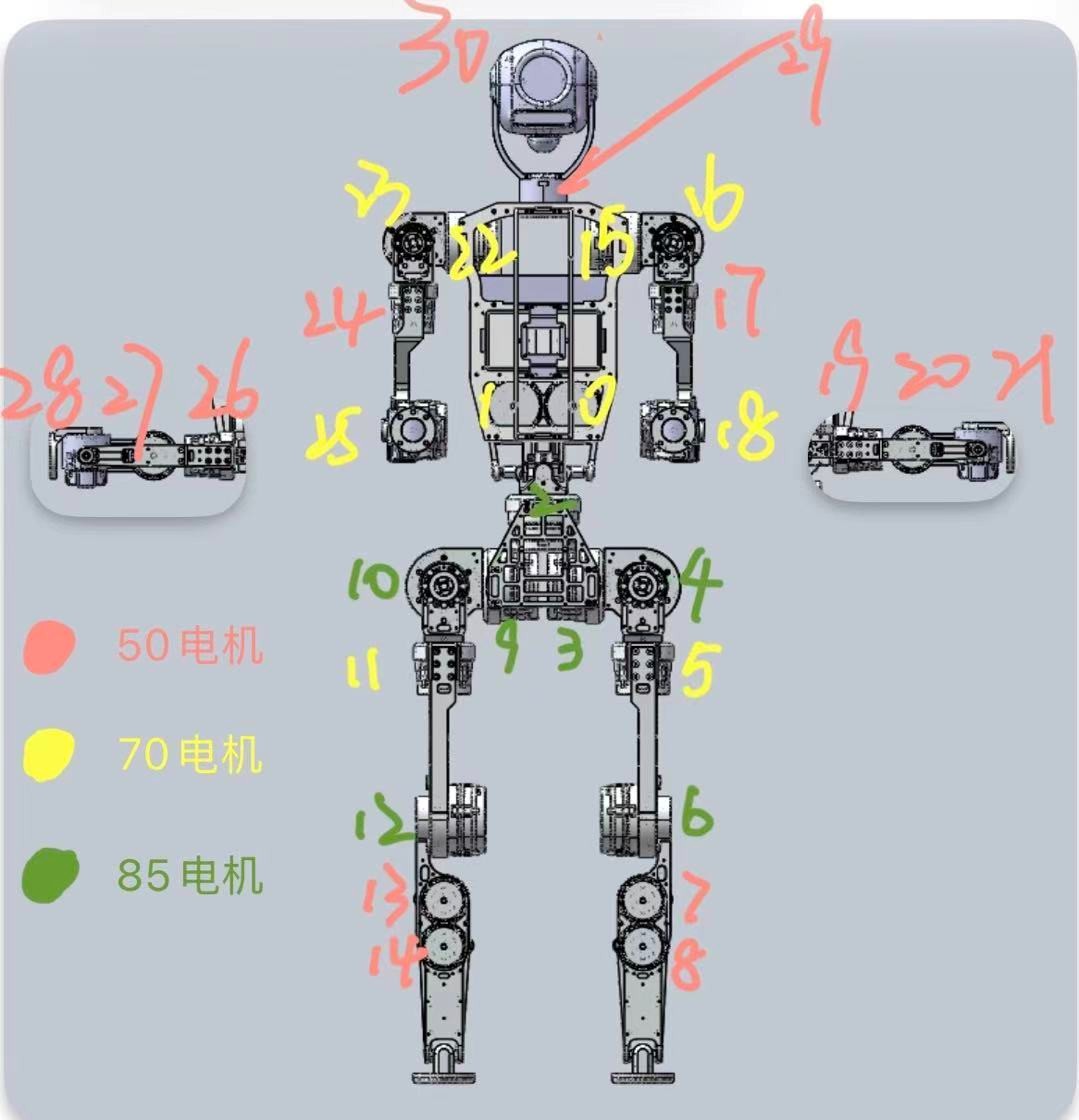关节索引与电机型号